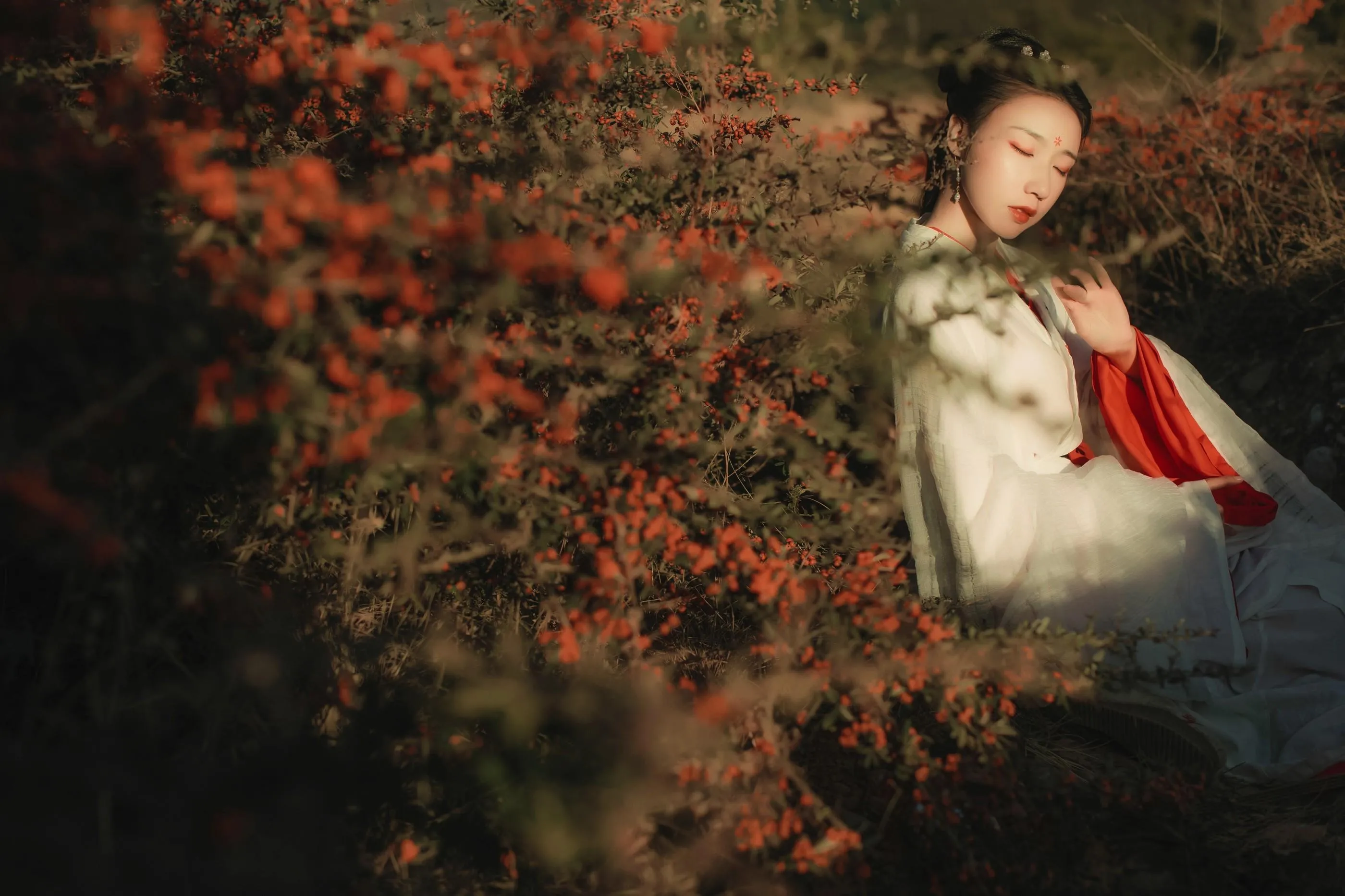 [YITUYU艺图语]2021.11.05 红妆 流韶 [20P]插图
